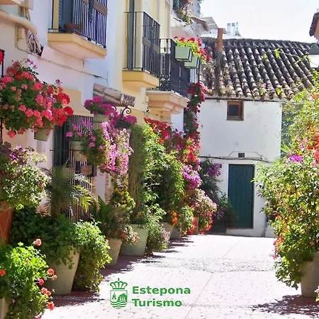 Flores Centro 2 Appartement