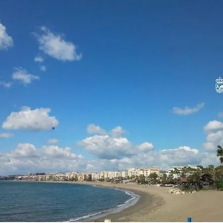 Flores Centro 2 Estepona