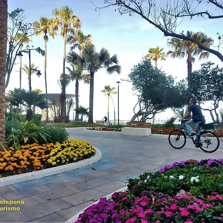 Flores Centro 2 * Estepona