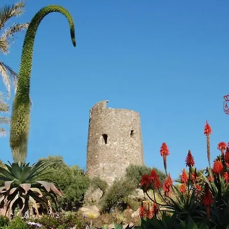 Flores Centro 2 * אסטפונה