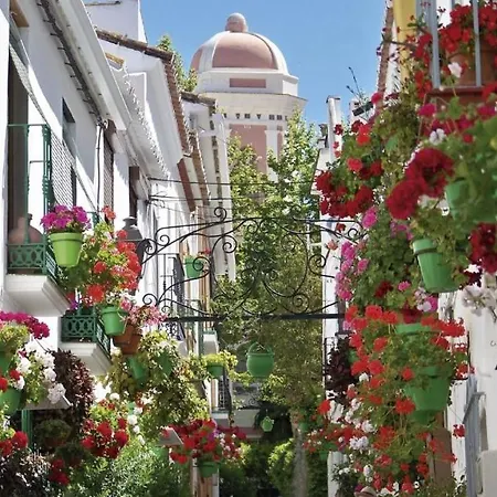 Flores Centro 2 אסטפונה